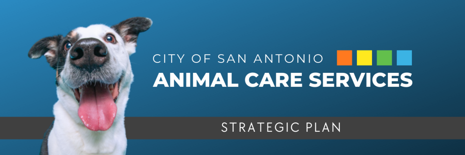 Featured image for San Antonio Animal Care Services Strategic Plan  