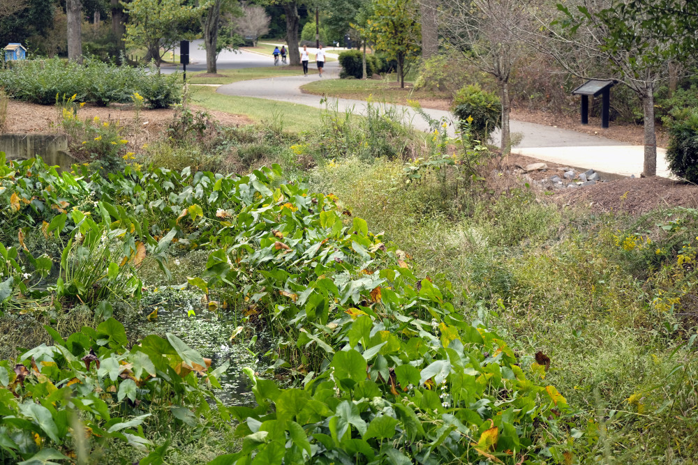 Little Sugar Creek Greenway