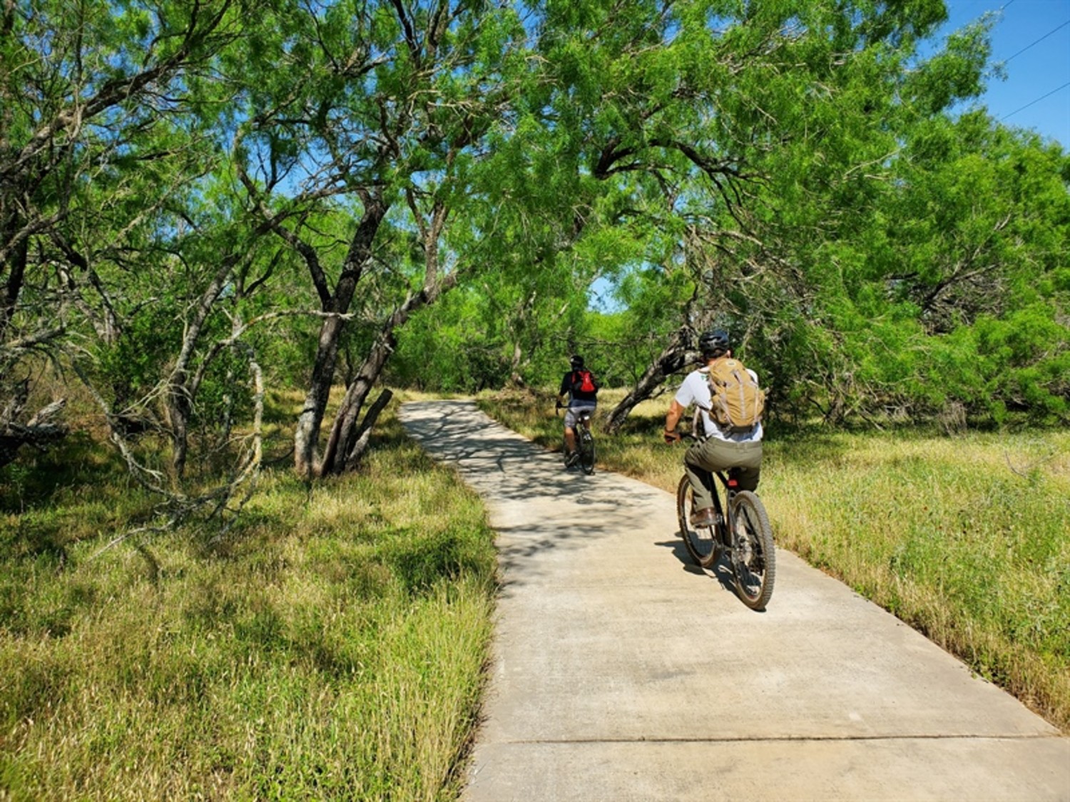 Featured image for Greenway Trail Survey 2020