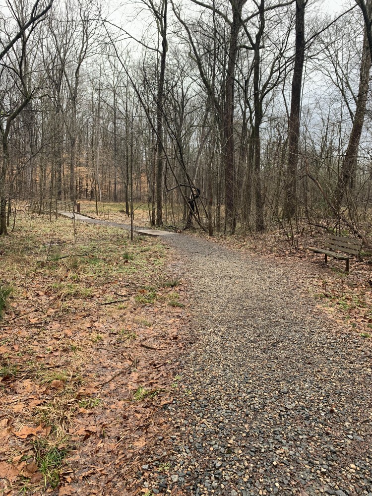 Reedy Creek Natural Surface Trails